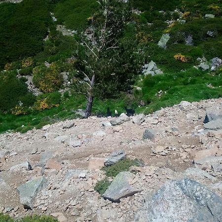 Apartamento Navacerrada Eksteriør billede